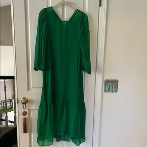 Ali Golden Elegant sheer Green Dress